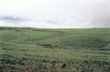 South Dakota